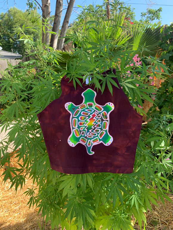 Cosmic Rainbow Turtle Crop Top